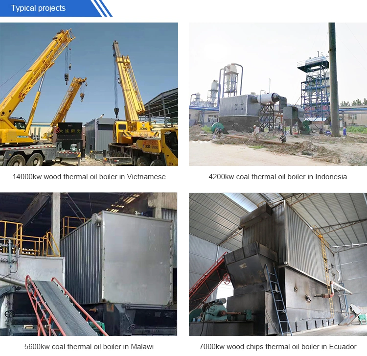 100 000 to 12 000 000 Kcal Industrial Coal Biomass Firewood Wood Pellet Fired Thermal Oil Boiler Heater for Asphalt Plywood Factory