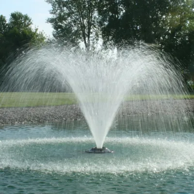 Offre d'usine Grande fontaine de danse d'eau de jardin programmée moderne en plein air